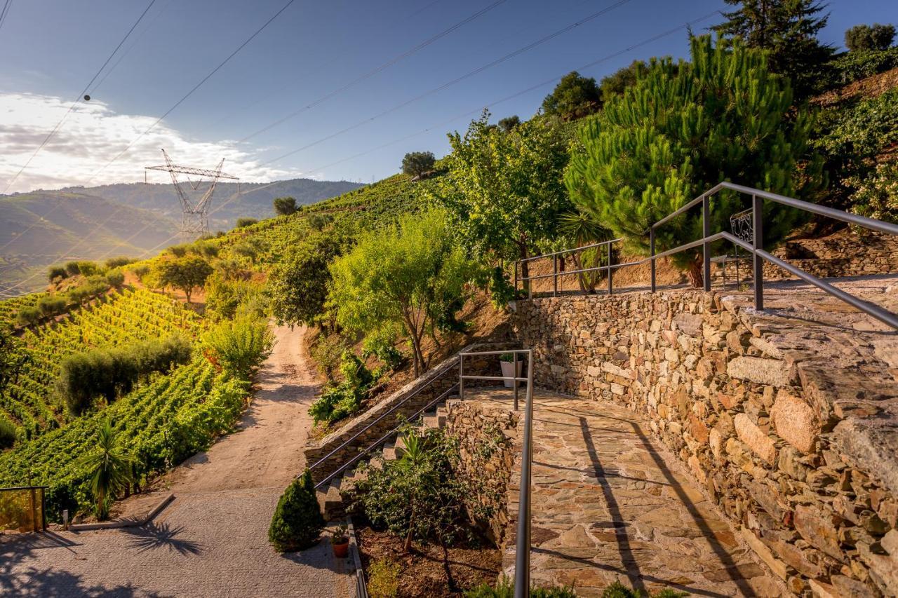 Quinta Da Portela Douro Armamar Luaran gambar